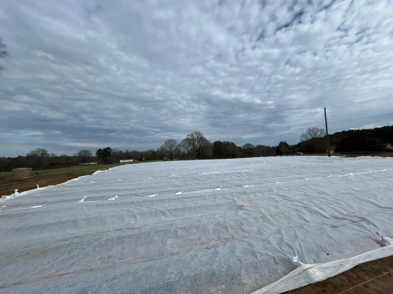 Image of Tucked In