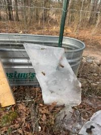 Image of Frustrated with Ice