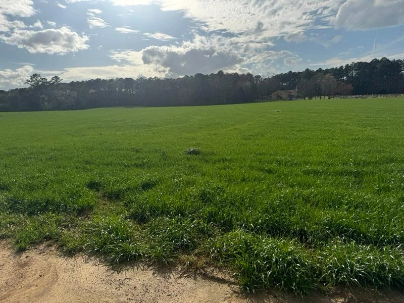 Image of Springtime = Haytime