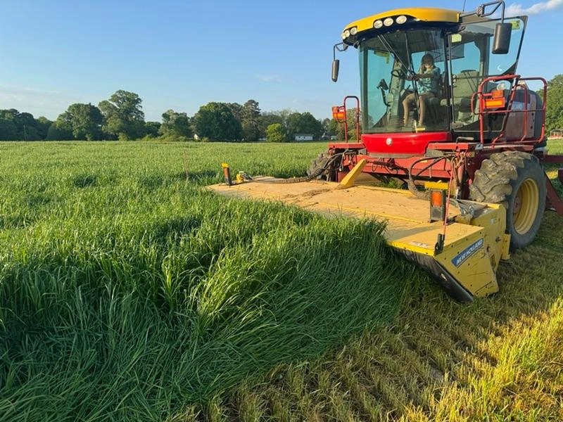 Image of The Overlapping of Strawberry Season and Hay Season