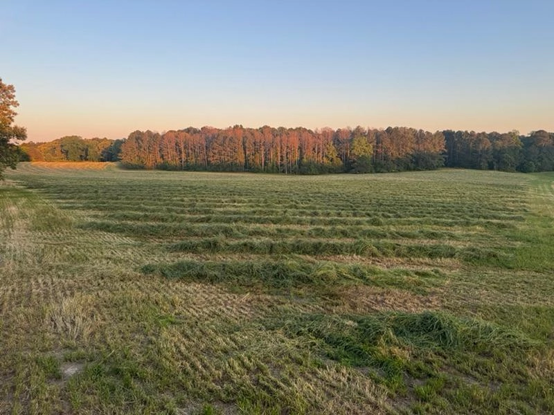 Image of Ryegrass Wrap-Up