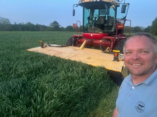 Image of Ready, set, hay!